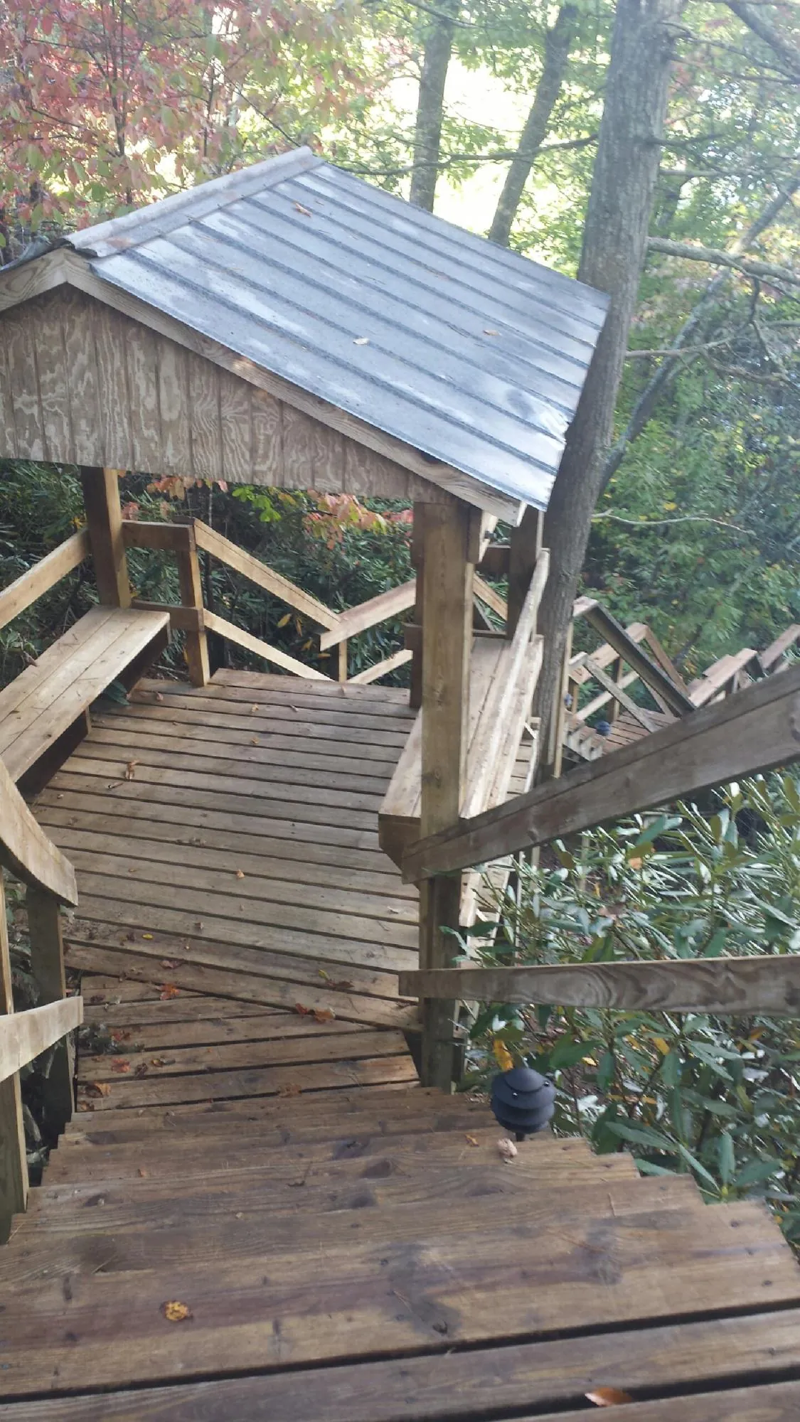 Metal roofed shelter over wooden steps on a wooded walkway — Skylight Repair & Installation work by our crew in Rayland