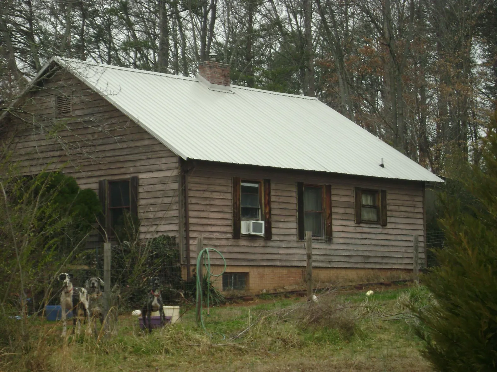 White metal roof on an old wood sided farmhouse, from a Asphalt Shingle Roof Repair job in Rayland
